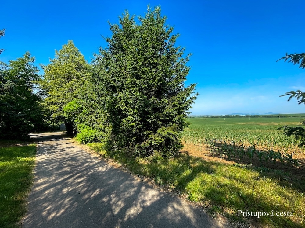 Viničný dom s vinohradom na predaj, Melek - 16