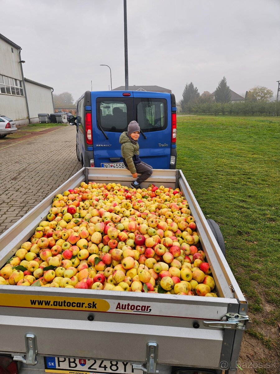 Renault Trafic 2014 84kw 9 miest M6 nová STK EK zimné gumy - 16