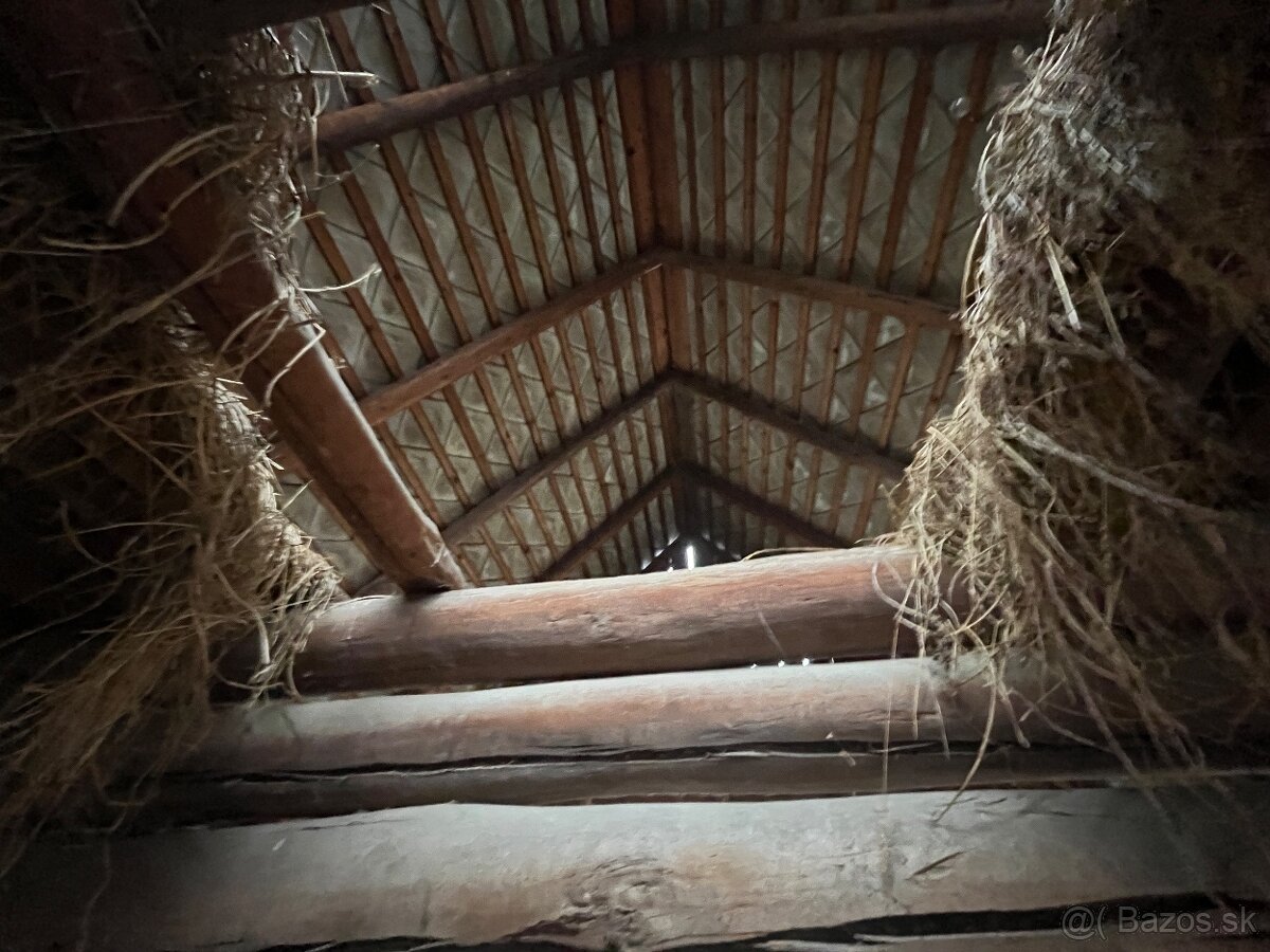 Stare drevo na predaj - 16