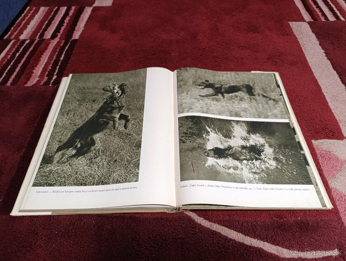 Poľovnícke knihy - 16