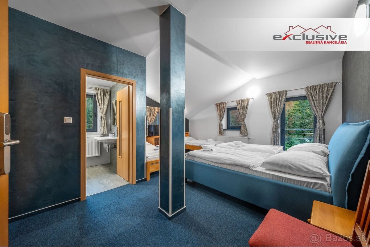 VILLA ALPINA - DRIENICA, 555 M2 - KOMPLETNÁ REKONŠTRUKCIA - 16