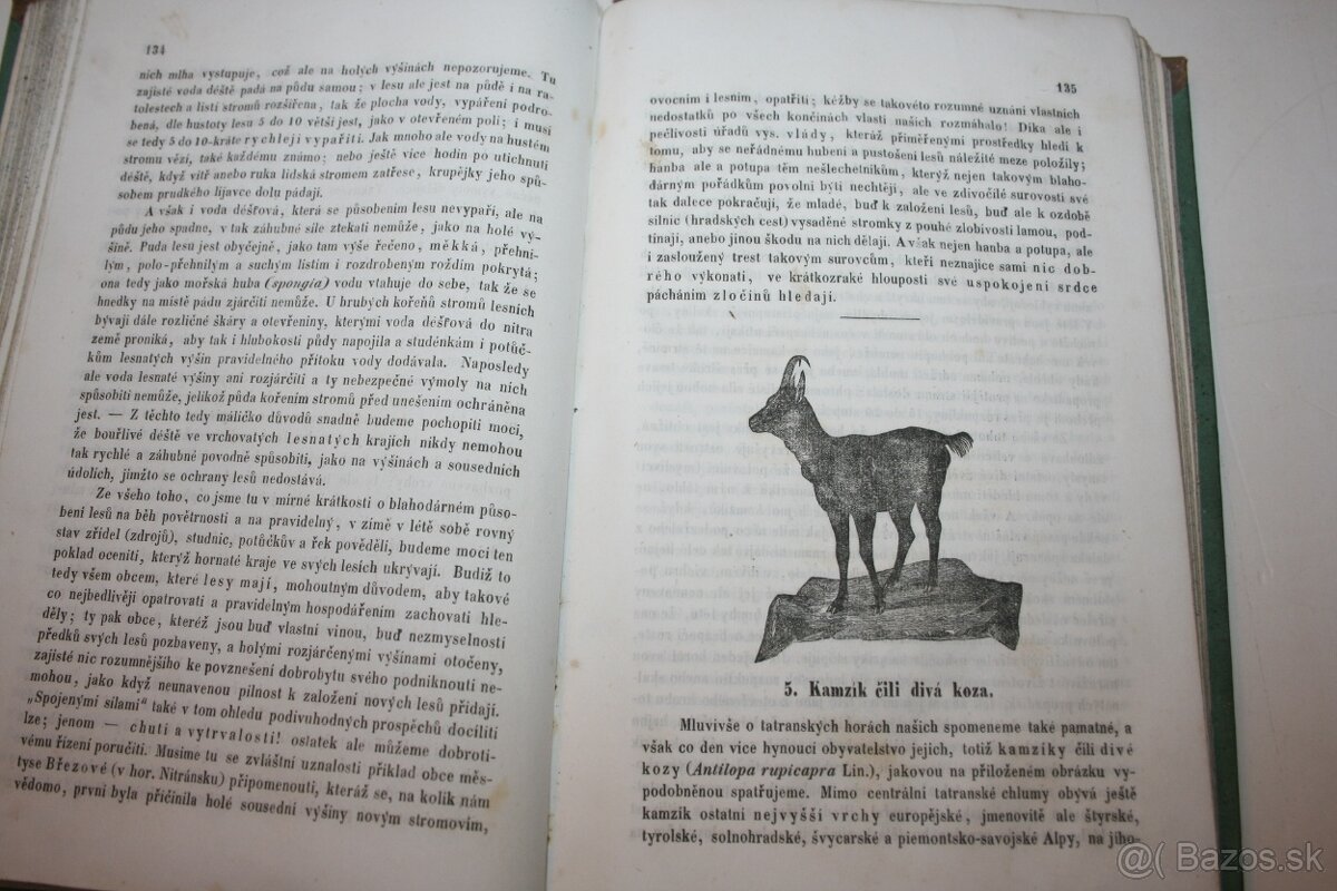 Daniel Richard: ČASNÍK 1857, 1858 - 16