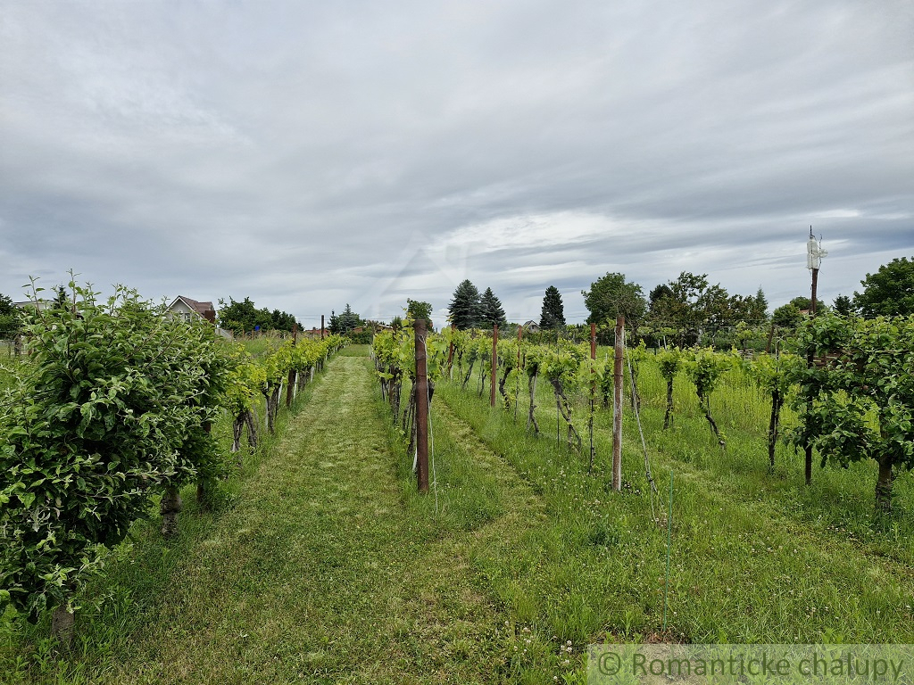 Záhrada s chatkou na Strážnom vrchu - 16