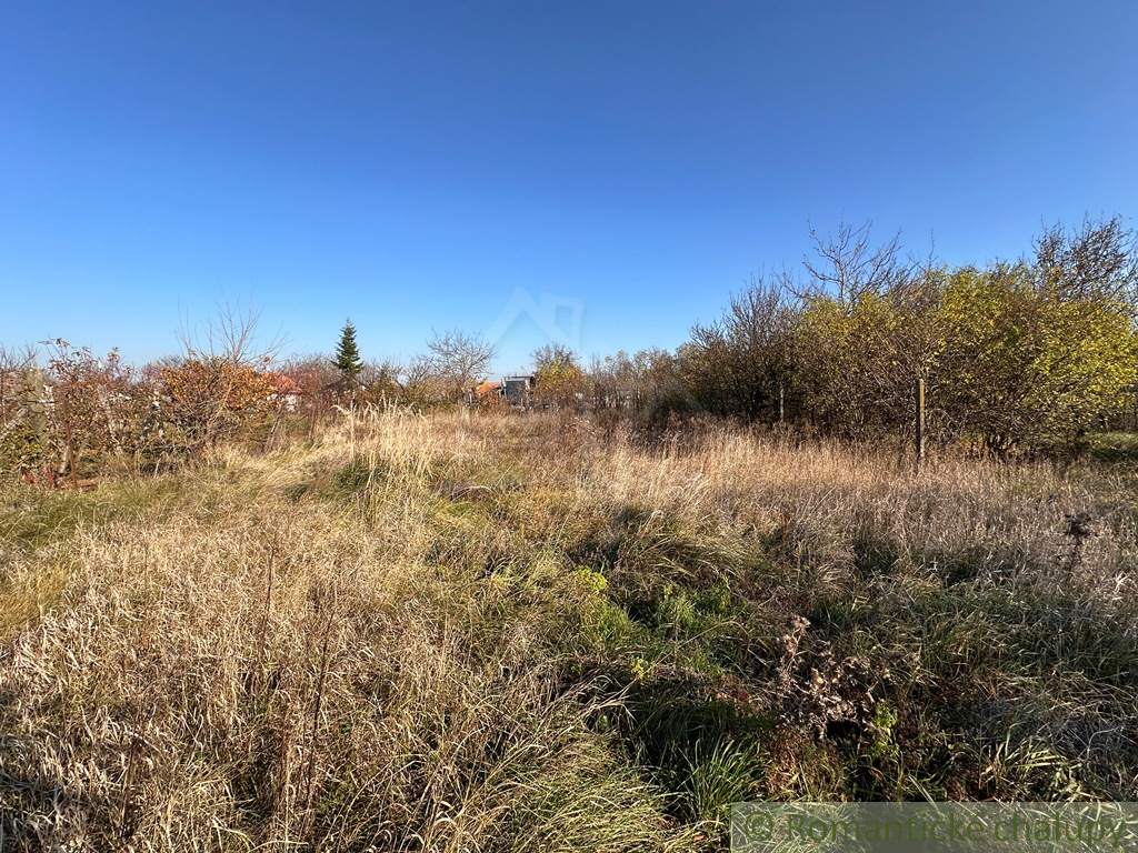 Starý sedliacky dom na veľkom pozemku – vhodné na výstavbu - 16