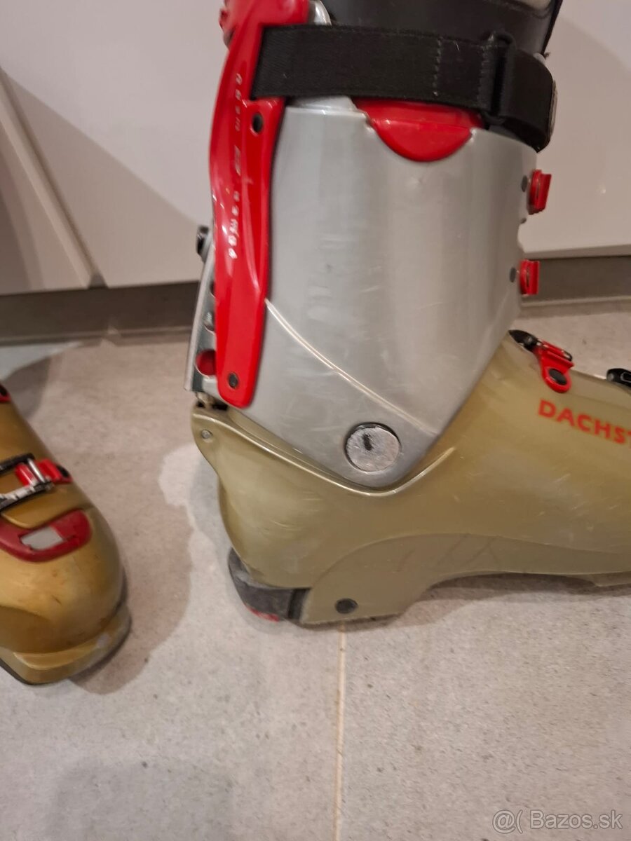 Skialpove lyziarky Dachstein Carve Race 320 mm - 16