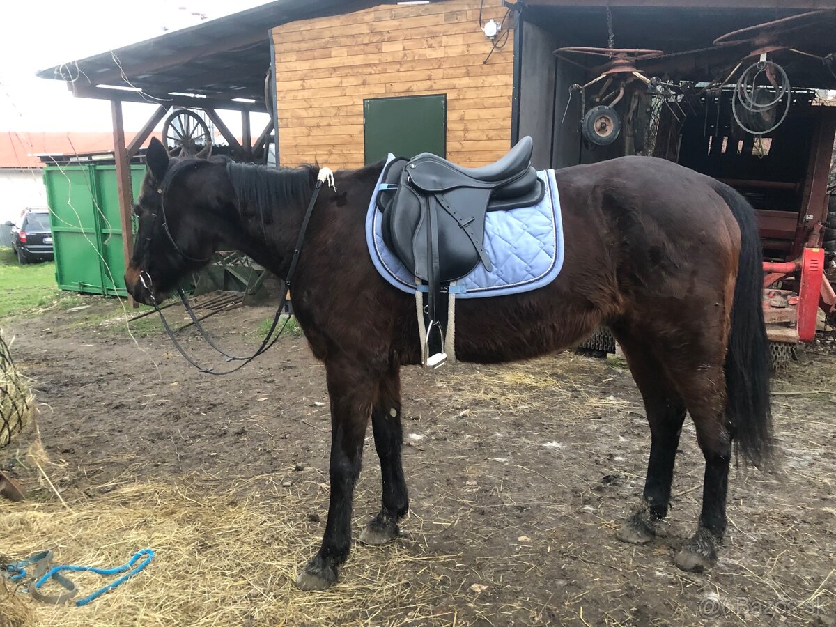 Jazdecke potreby na kona - 16