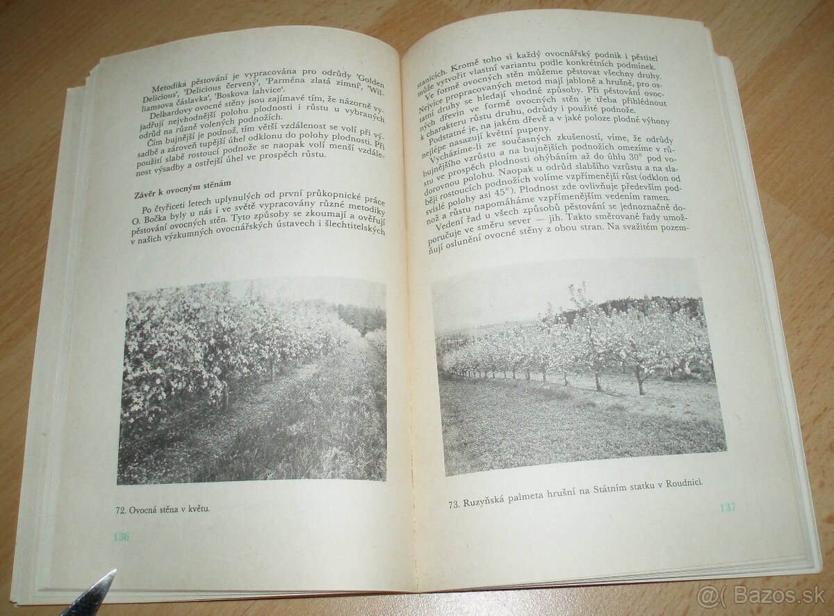 Řez ovoných dřevin - 16