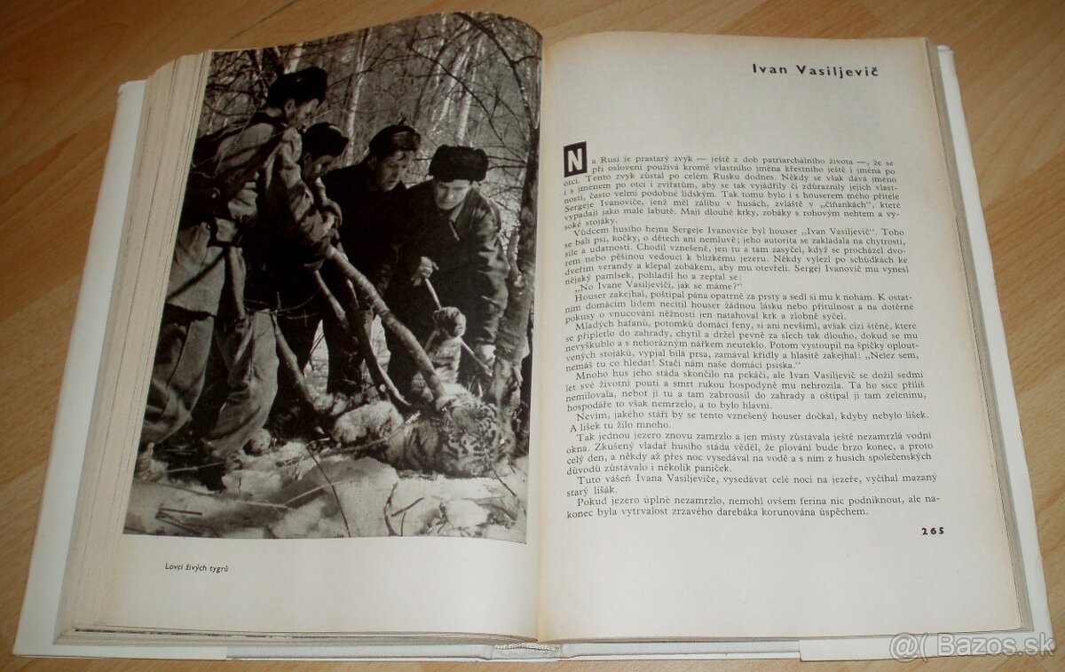 Revír bez hranic - 16