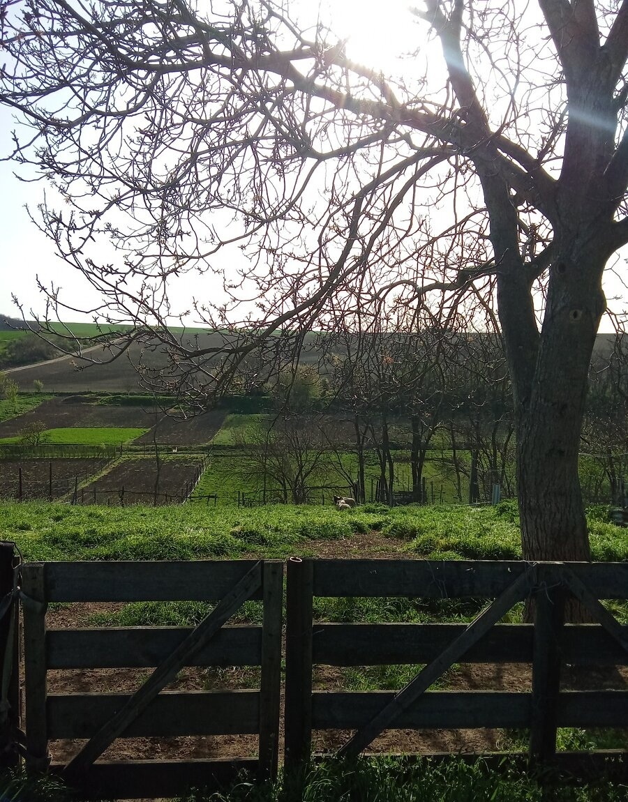 Na predaj romantická vidiecka chalupa - Zemianske Sady - 16