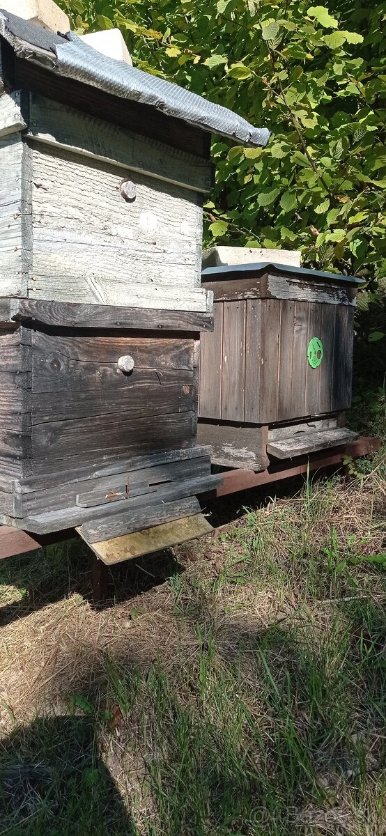 Včely, chov včiel - 16