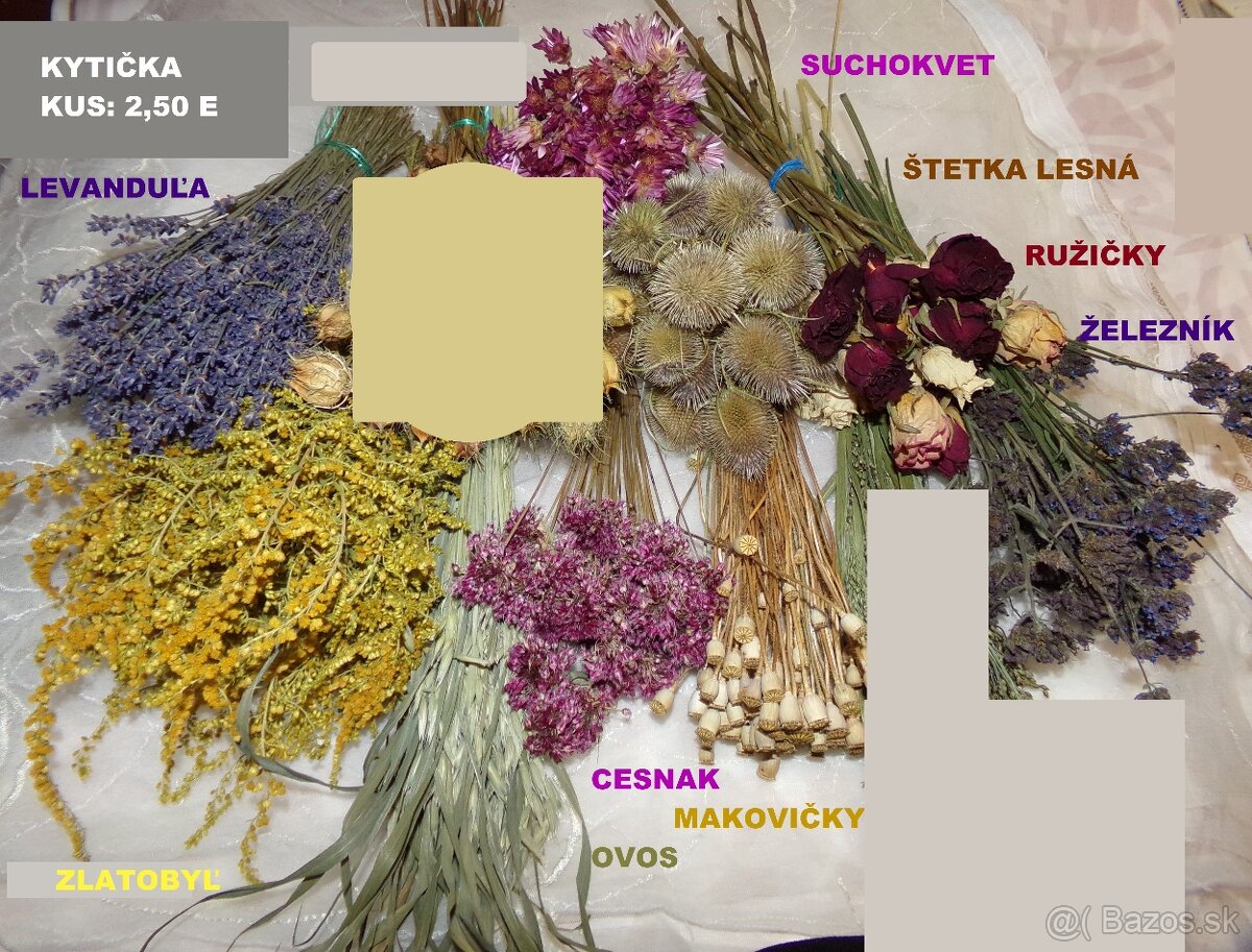 SUŠENÉ KVETY, ŠIŠKY a iné plody do dekorácií - 16