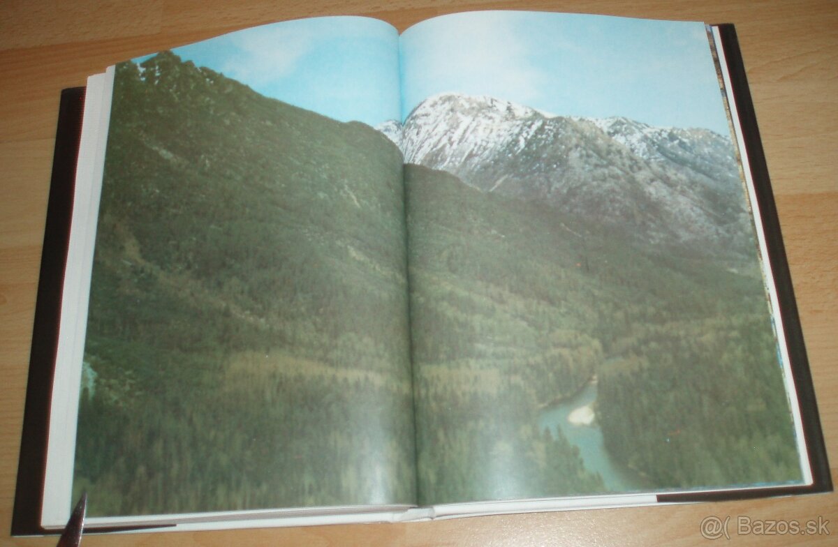 Černý sobol, hnědý medvěd - 16