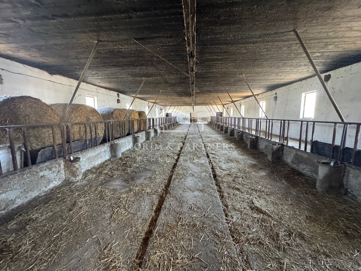 NOVINKA - Rodinná farma na vyše 2,5 hektároch pri Komárne - 16