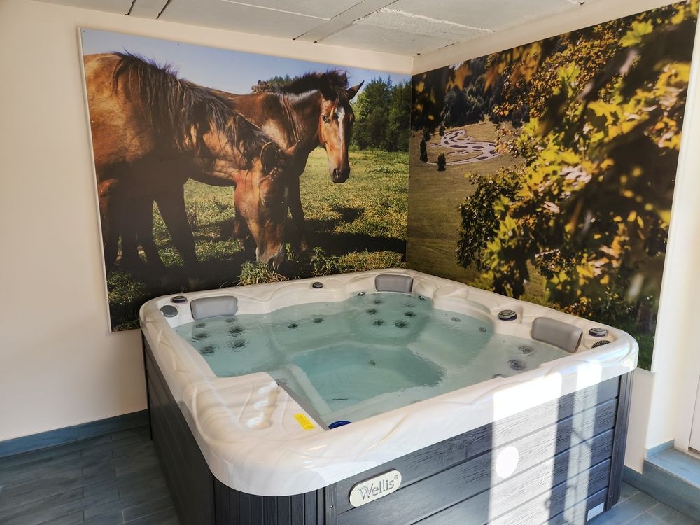 REKREAČNÝ OBJEKT, Maďarsko – 3 apartmány s wellness - 16