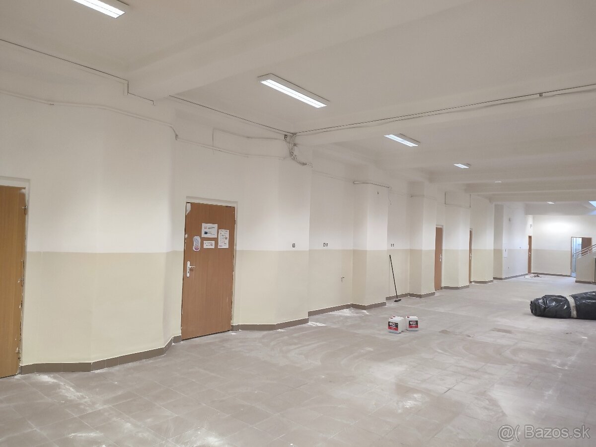 Maliar,maliarske prace,malovanie - 16