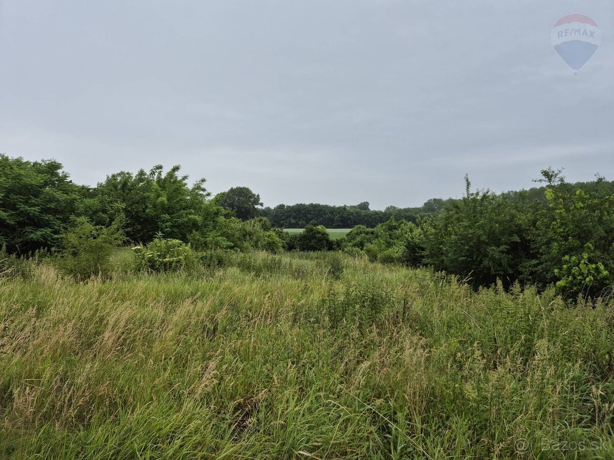 3-izbový RD na 34-árovom pozemku v Šarovciach - 16