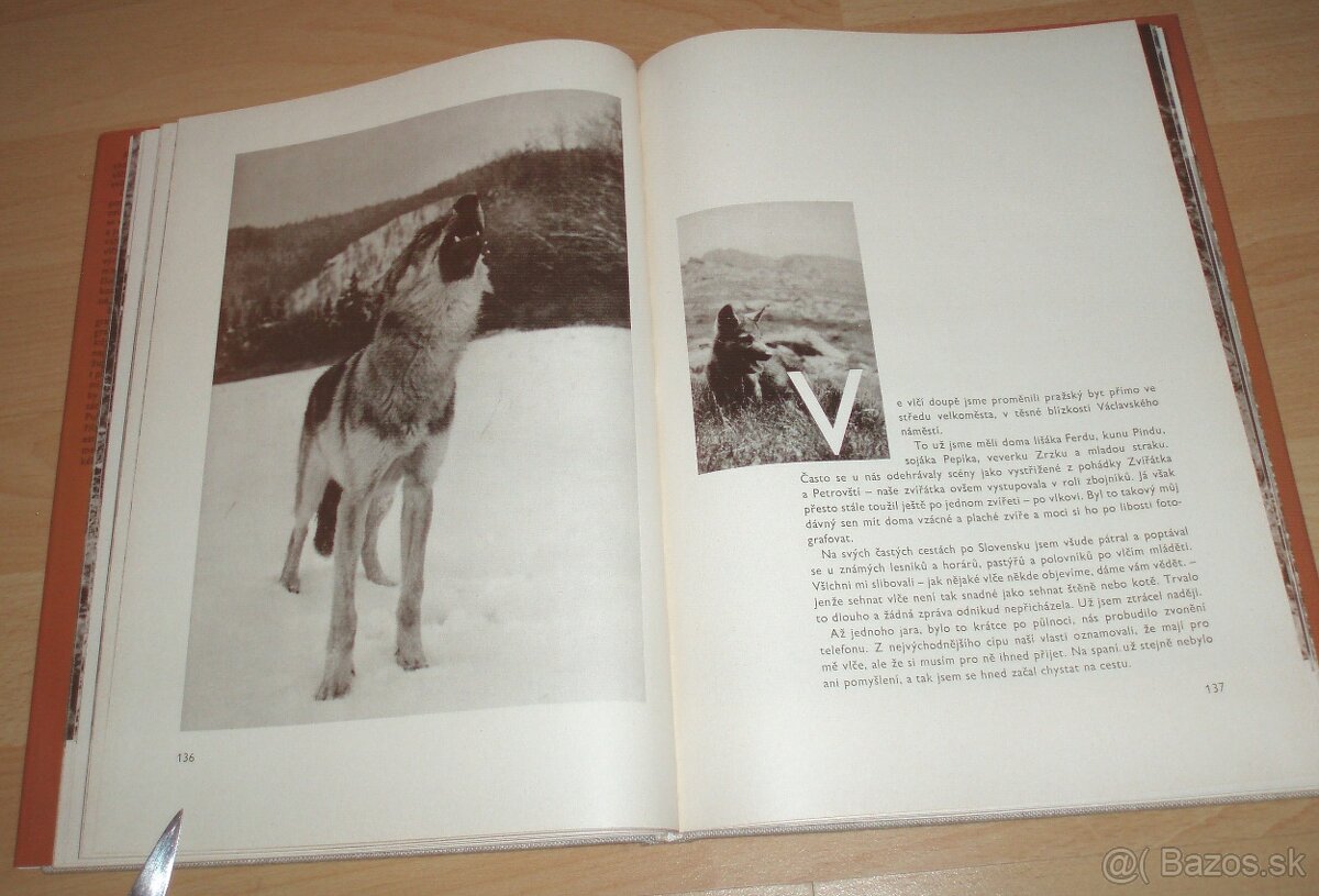 Osamělá vlčice - 16