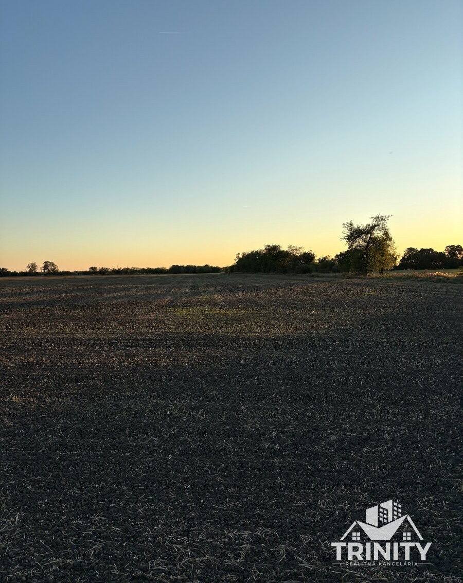 Na predaj pozemky s chatkou medzi mestom Šurany a Palárikovo - 16