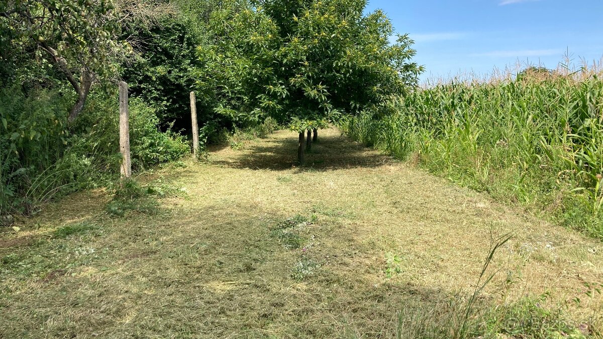 Predám pozemok vo vinicnej časti - 16