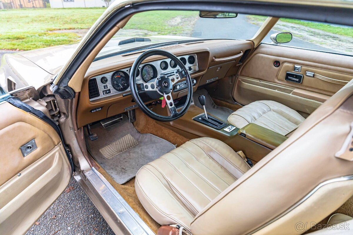 Pontiac Firebird Trans-Am 1977 - 16