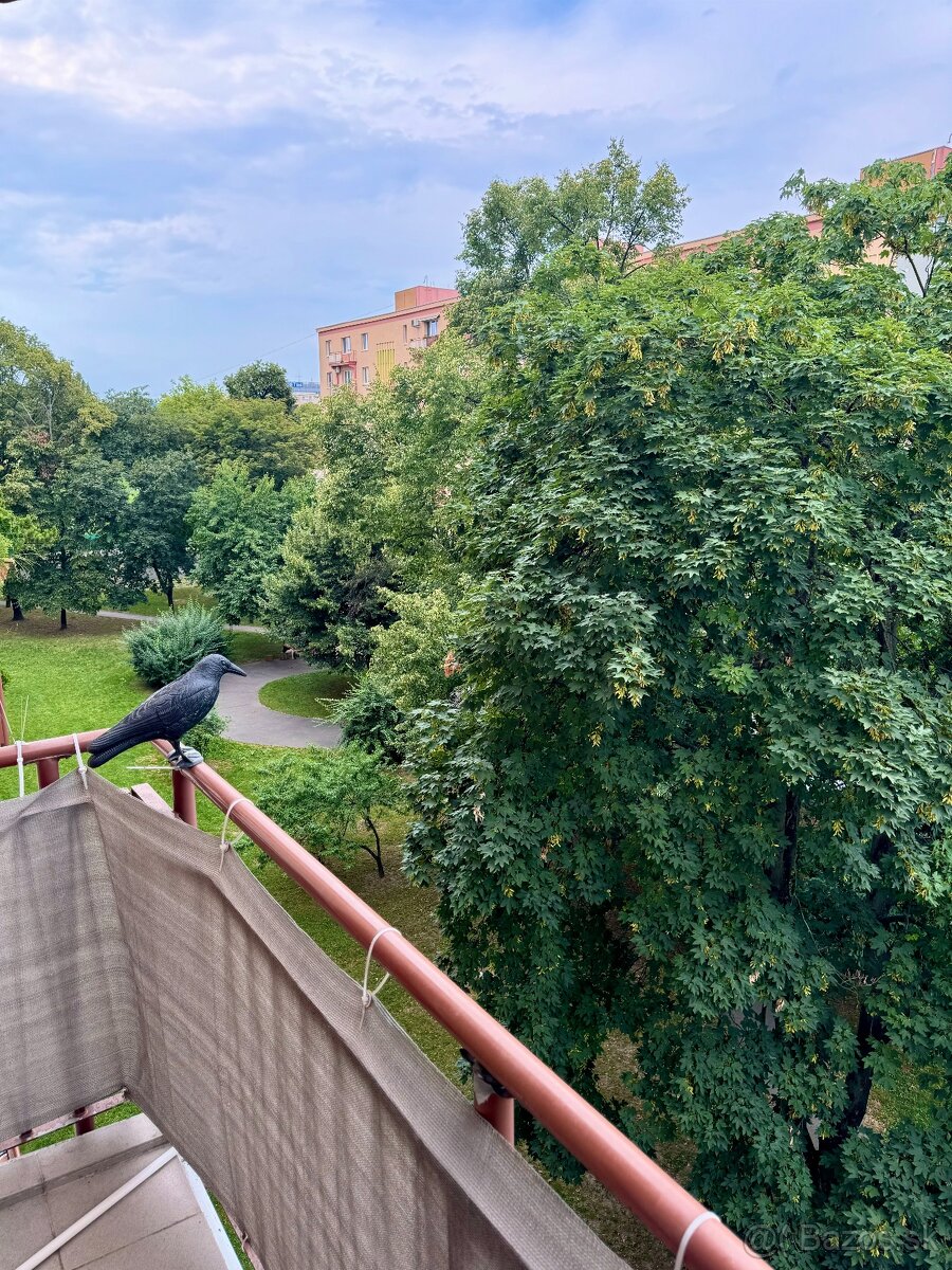 2 izbový byt na prenájom v lokalite Nivy - 16