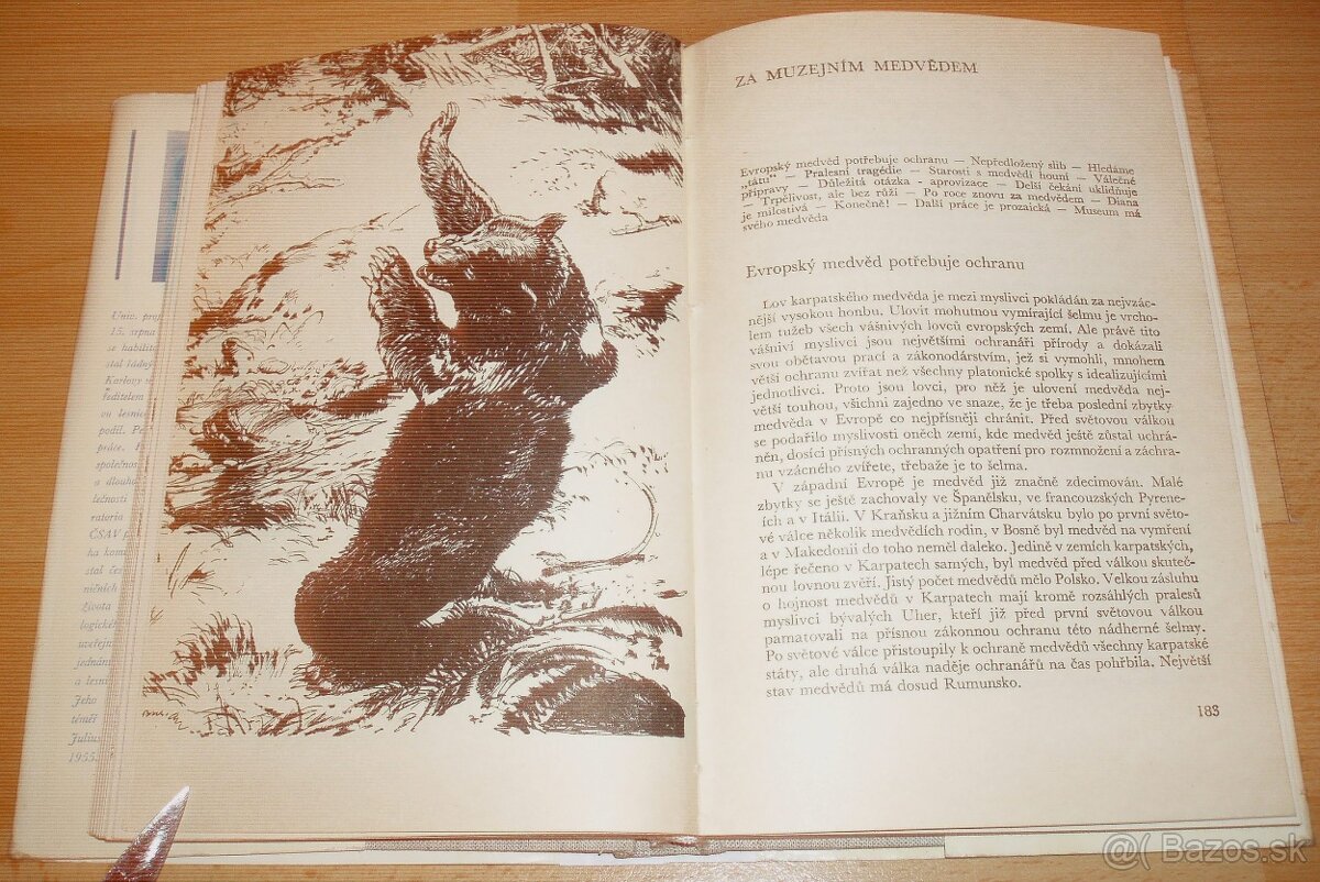 Lovy v Karpatech - 16