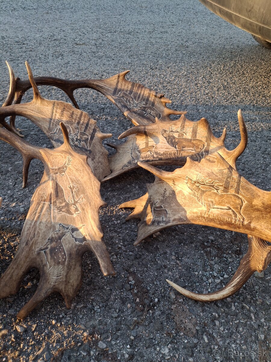 Parohy,zhody,trofeje - 16