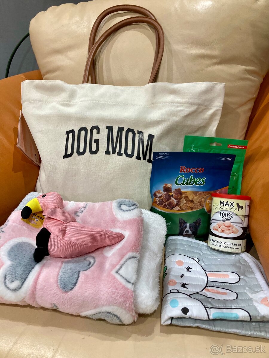 Pomeranian s PP FCI - 16