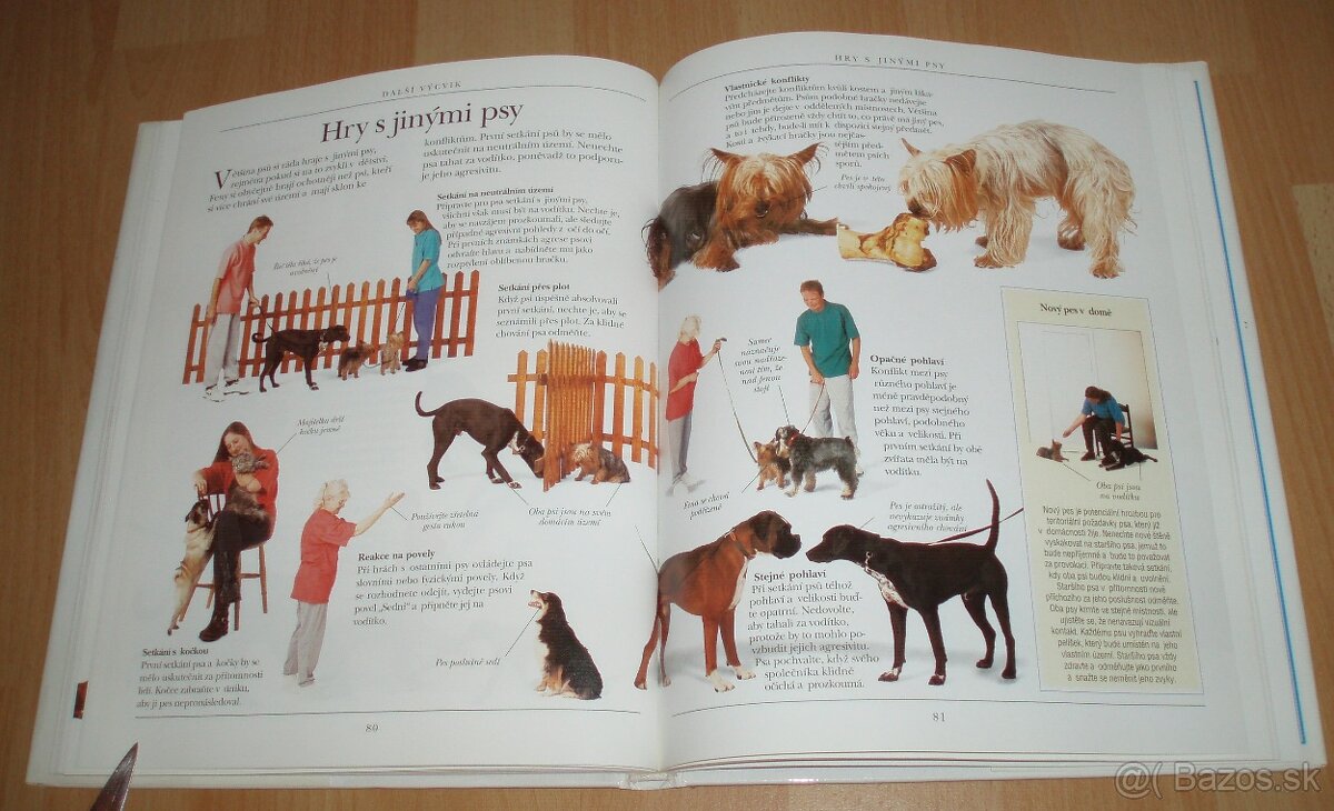 Výchova a výcvik psa - 16