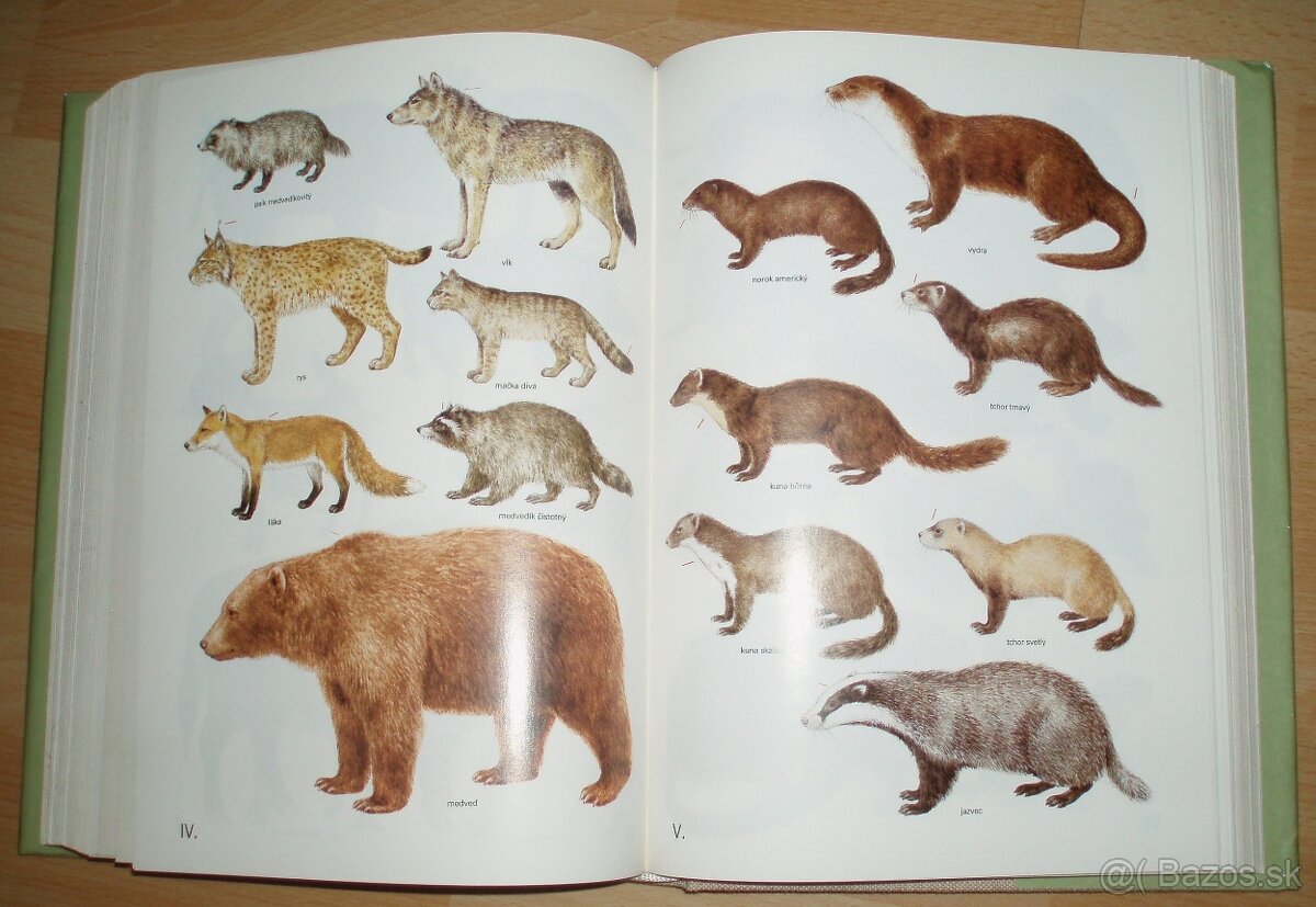 Poľovnícky náučný slovník - 16