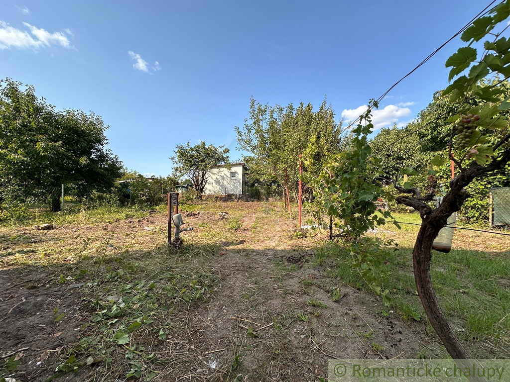 Na predaj záhradná chatka neďaleko rybníka – Nové Zámky, č - 16