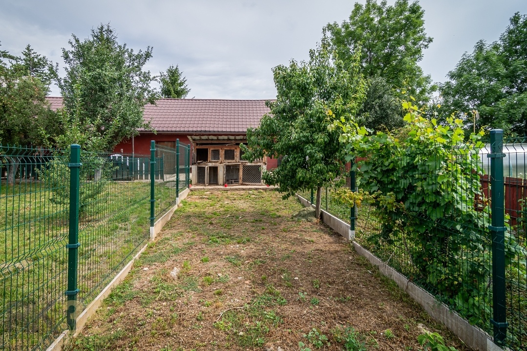 Predaj rodinného domu v obci Jánovce - 16