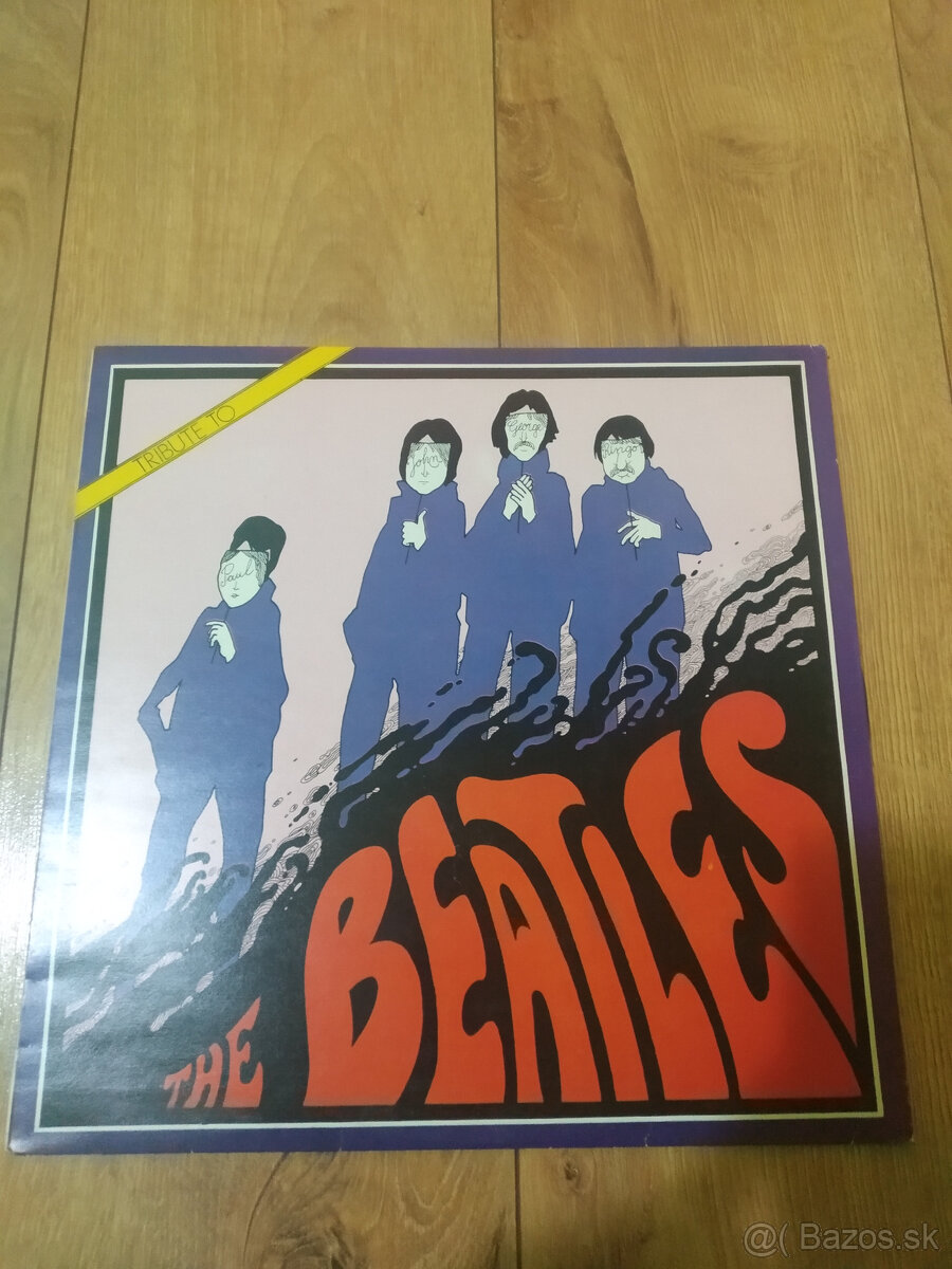 Predám zbierku 200+ vinylových platní (anglické, CZ/SK, HU) - 16