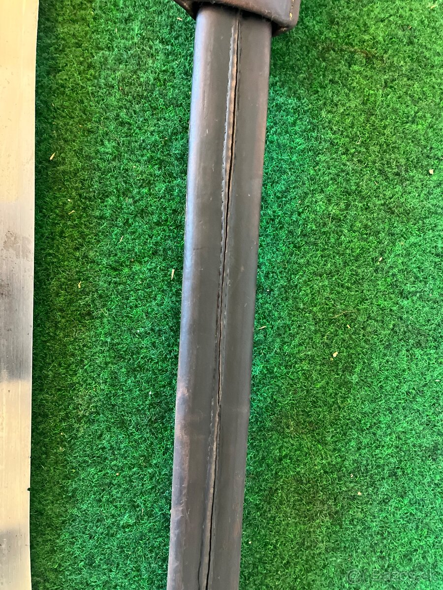 Švajčiarsky Bodak s pilou - 16