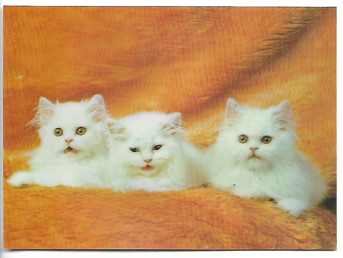 3D pohľadnice (61-80 ), čisté v top stave, 1 ks za 1 € - 16