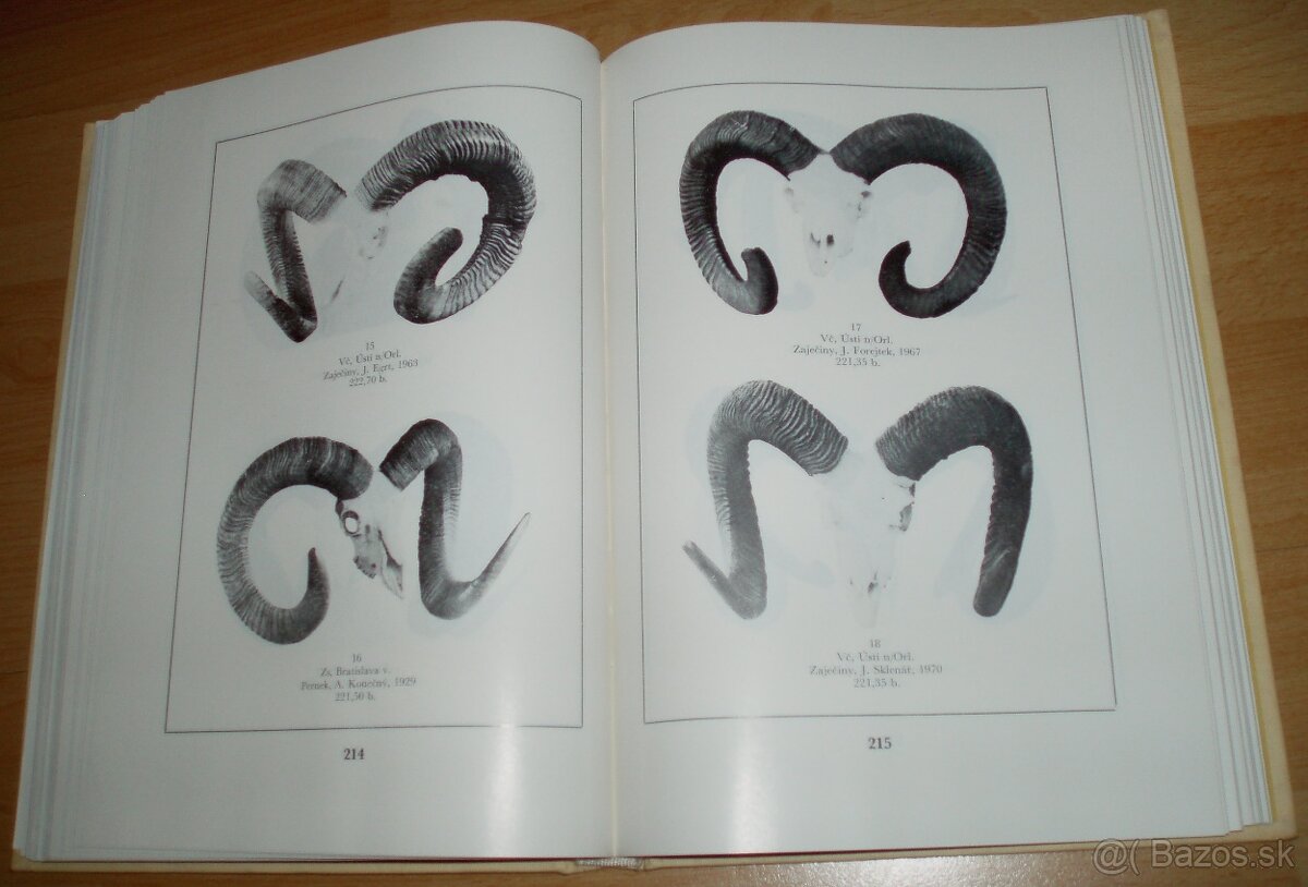 Zlaté trofeje ČSSR - 16