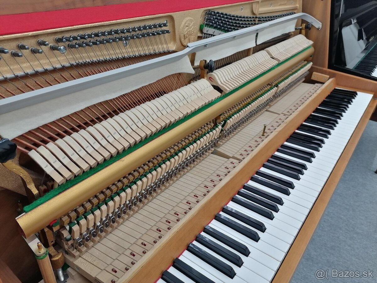 Hohner Piano pre viacero generácie - 16
