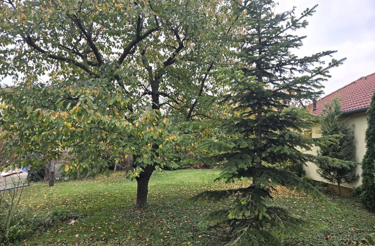 Predaj - 5 izbový dvojgeneračný rodinný dom-Rajka Maďarsko - 16