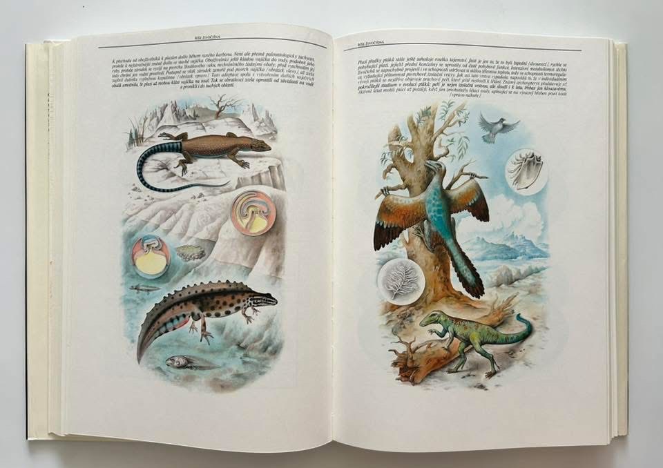 Nádherná séria encyklopédií - 16