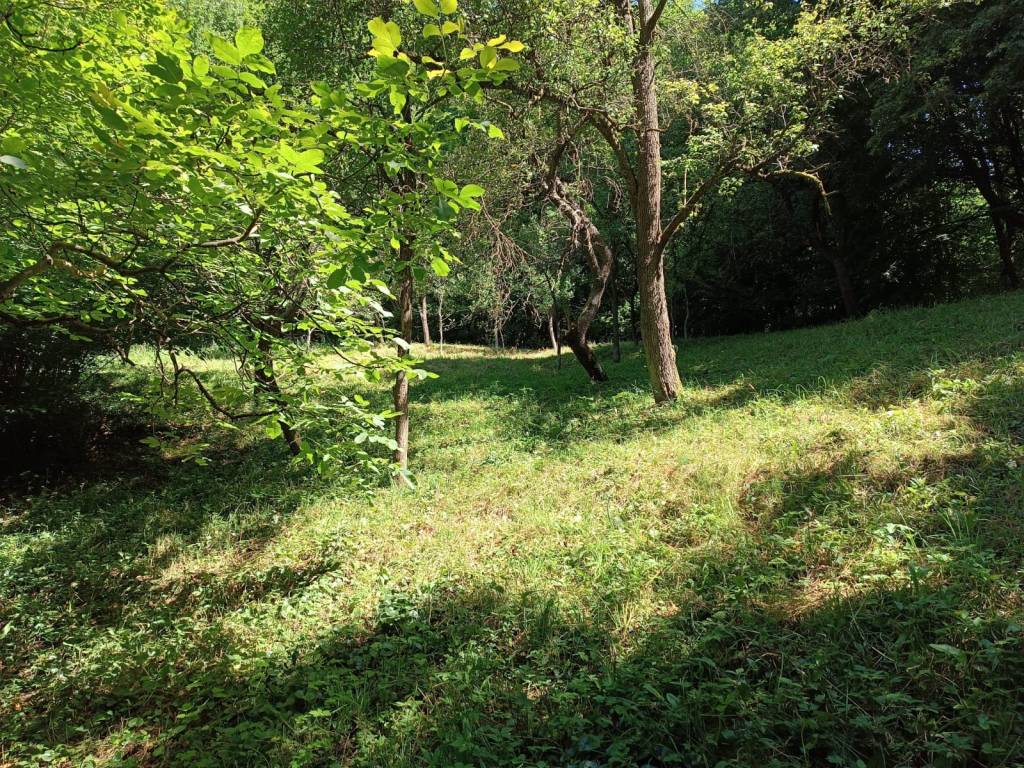 Na predaj dom v obci Vyhne iba 400m od Vodného raja. - 16