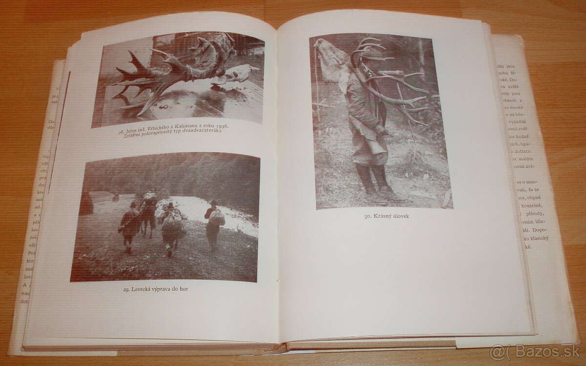 Lovy v Karpatech - 16