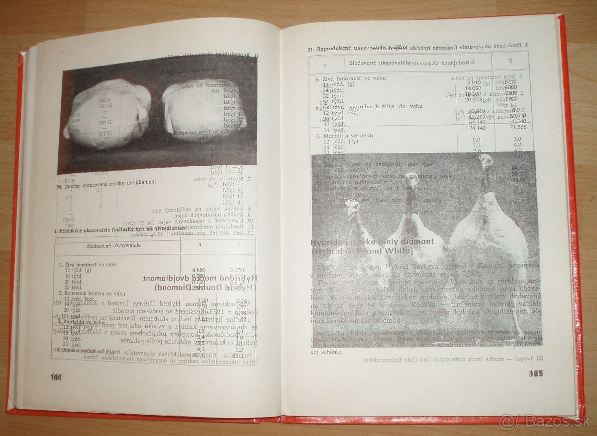 Najvýkonnejšie plemená a typy hydiny - 16