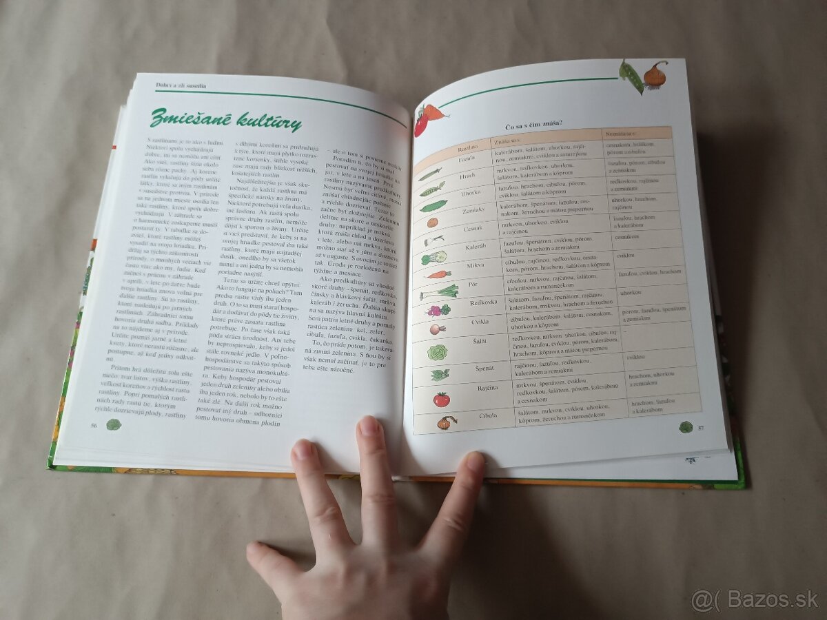 Malý záhradkár: Okno do prírody - 16