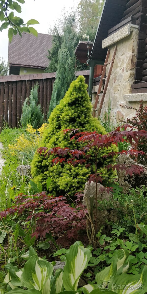 Chata pri Lese Dubina V. - 16