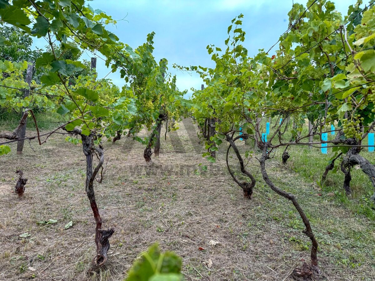 ŠTÝLOVÁ VÍNNA PIVNICA V OBĽÚBENEJ ČASTI - 16