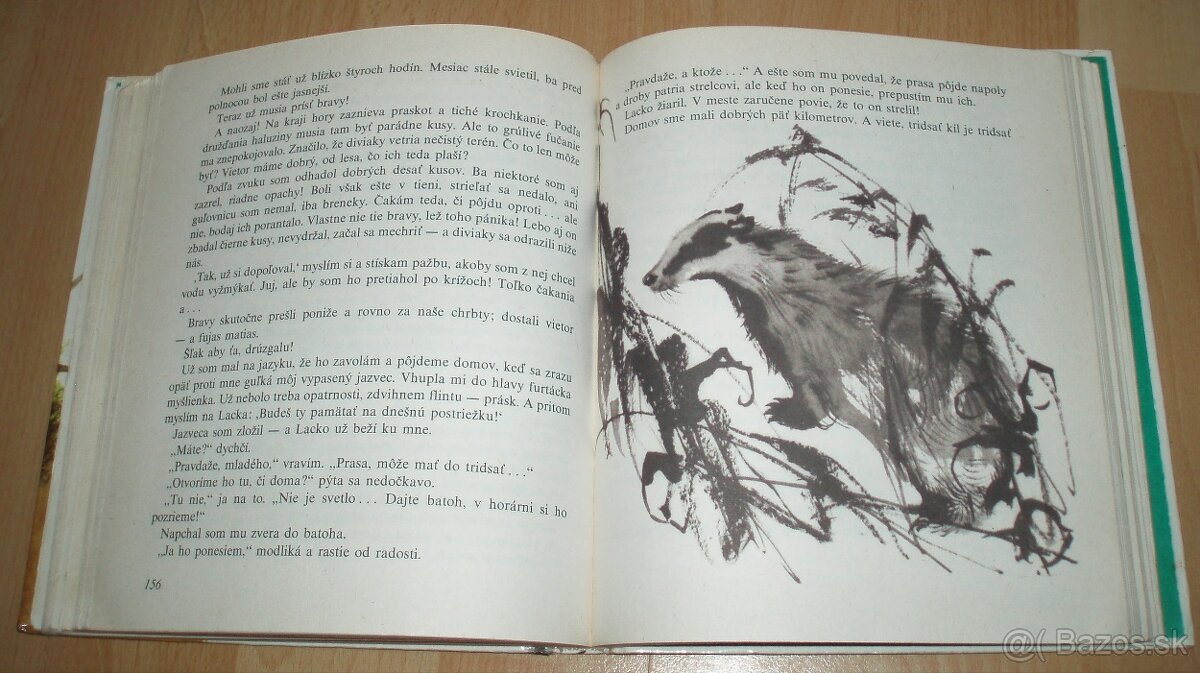 Z poľovníckej kapsy - 16