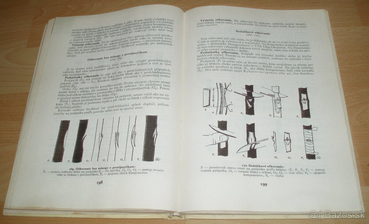 Štepenie, očkovanie a preštepovanie drevín - 16