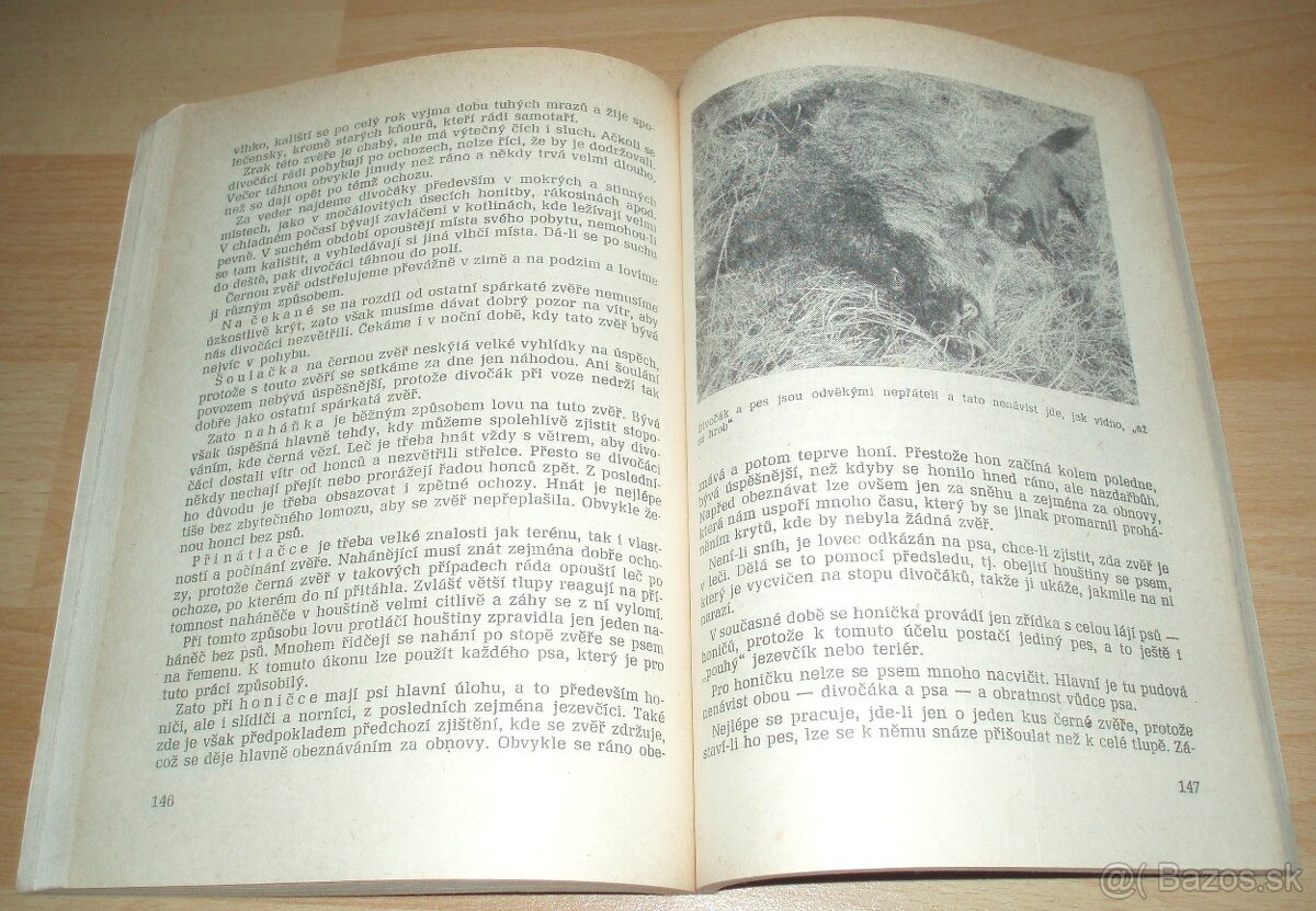 Práce psa při lovu - 16