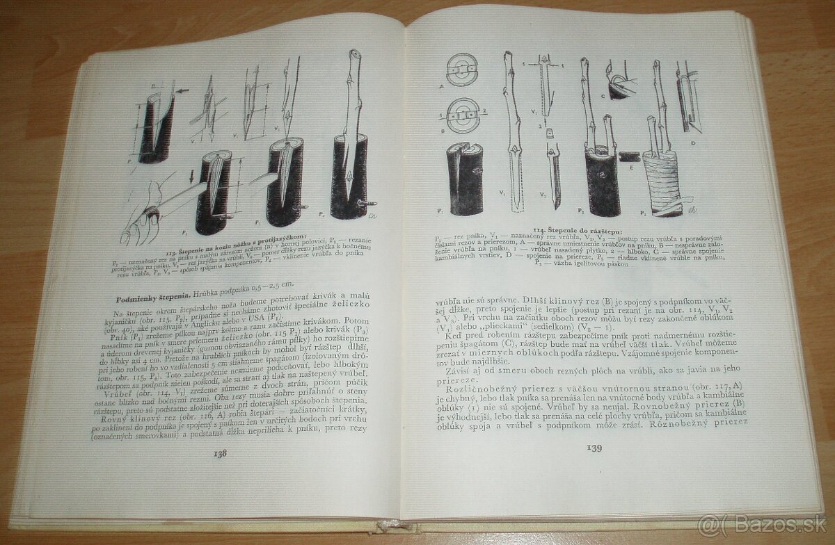 Štepenie, očkovanie a preštepovanie drevín - 16