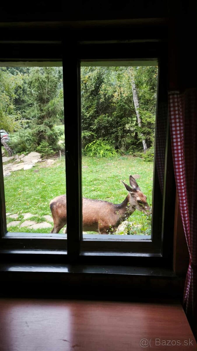 Chata Orava Oravice - 16